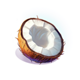 your own island coconut half symbol icon