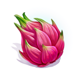 your own island dragon fruit symbol icon