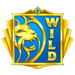 3 wild lions wild 1 symbol icon