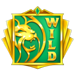 3 wild lions wild 2 symbol icon