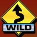 5 reel drive wild symbol icon