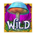 9 mad hats king millions wild symbol icon