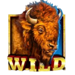 badlands wild symbol icon