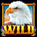 bald eagle wild symbol icon