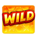 beez turn wild wild symbol icon
