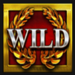 big 500 slot wild symbol icon