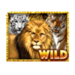 big cats wild symbol icon