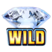 biggest vault wild symbol icon