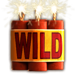bonanza megapays wild symbol icon