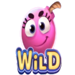 boom berries wild 2 symbol icon