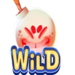 boom berries wild 5 symbol icon