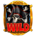captain winbreaker wild symbol icon