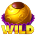 choco wild lab wild symbol icon