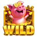 coins of oinks piggy wild symbol icon