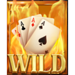 crime town wild symbol icon