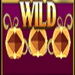 da vinci creations wild symbol icon