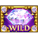 da vinci deluxeways 2 wild 2 symbol icon
