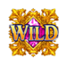 da vinci extreme wild symbol icon