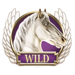divine fortune powerpoints wild horse symbol icon