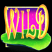enchanted prince ii wild symbol icon