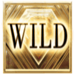 fashiontv highlife wild symbol icon