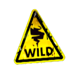 fire twister wild symbol icon