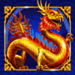 fortune coin wild symbol icon