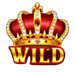 fortune crown 25 wild symbol icon