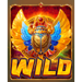 gods of sand wild scarab symbol icon