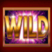 gold cash freespins wild symbol icon