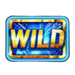 gold spinner wild symbol icon