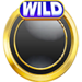 high 5 heroes wild 2 1 symbol icon