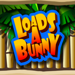 hot cross bunnies loadsabunny wild symbol icon