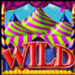 intervision gaming circus carnival wild symbol icon