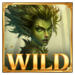 kozak quest wild symbol icon