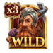 land of riches wild 2 symbol icon