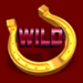 lucky and wild wild symbol icon