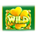 lucky wizard wild symbol icon