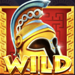 maze of fortune wild symbol icon