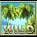 mega fortune dreams wild symbol icon