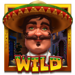 mexican ways wild symbol icon