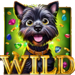 oz golden trail wild symbol icon