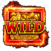 pharaohs vault hold and win wild symbol icon
