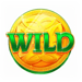 rainbow jackpots wild symbol icon
