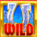 rainbow riches megaways wild symbol icon
