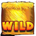 rich cluckin eggs wild 1 symbol icon
