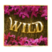 robin hood valentine wild 1 symbol icon