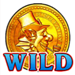 rr retro wild symbol icon
