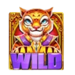 rtg triple tigers wild symbol icon