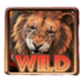 safari expedition wild symbol icon